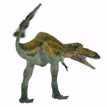 Alioramus Dinosaur Tail - Alioramus was a carnivorous theropod dinosaur that lived in Asia in the Cretaceous Period.