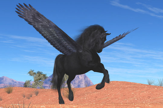 Black Pegasus - A mythical Pegasus with a beautiful black satin coat rises into the sky on powerful wing beats.