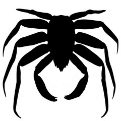 crab silhouette