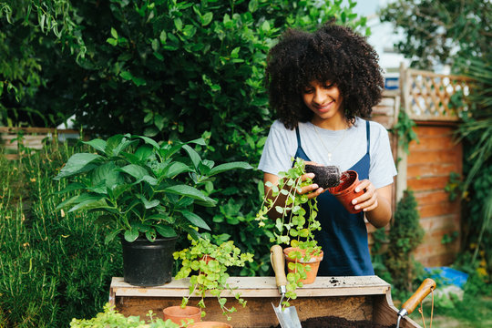 Young mixed race woman planting plants in a garden