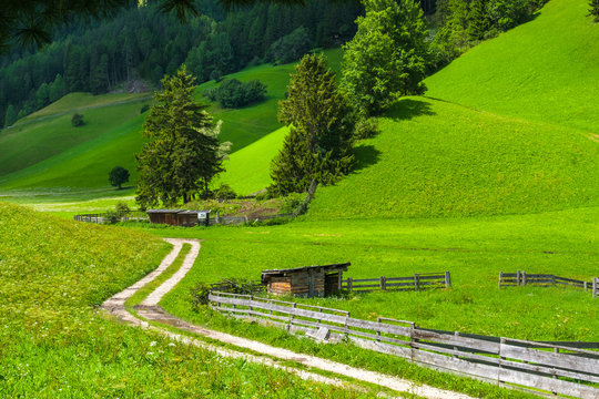 muletrack organic farming mulattiera