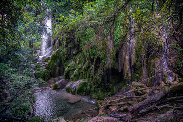 Tropical Waterfall