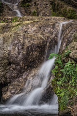 Obraz premium Small Stream Waterfall