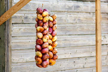 Onions from Old Believers Onion Route Peipsi, Estonia