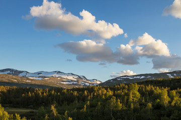 Fototapeta premium Norwegisches Gebirge 