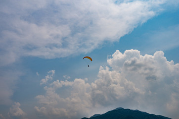 Fly