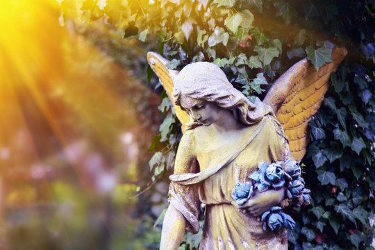 Majestic view of statue of golden angel illuminated by sunlight against a background of dark foliage. Dramatic unusual scene.