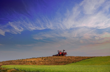 A vintage agriculture crop swather displayed on a hilltop beside a ripening canola field in a rural summer afternoon landscape