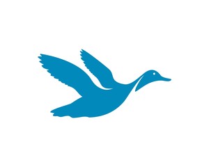 Flying duck silhouette