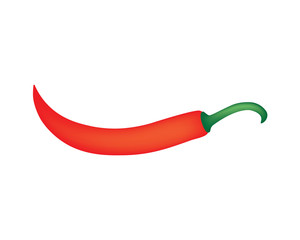 red chili pepper on white background- vector illustration