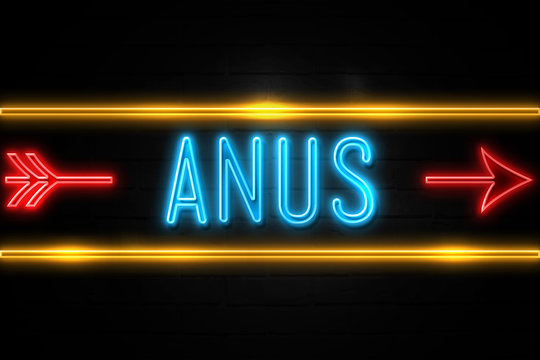 Anus  - fluorescent Neon Sign on brickwall Front view