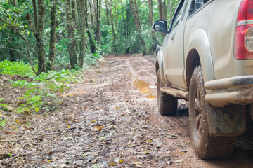 Fototapeta na wymiar car wheels on a gravel road in tropical jungle
