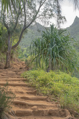 Steps going up, along the Kalalau Hiking Trail, on Kauai