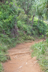  Kalalau Hiking Trail, on Kauai