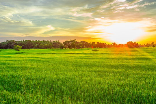 Dawn, Dusk, Field, Land, Meadow © weera