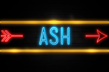 Ash  - fluorescent Neon Sign on brickwall Front view