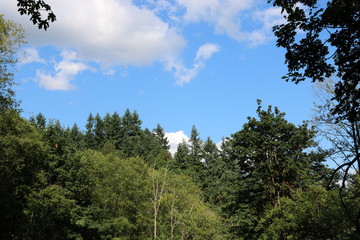 Blue sky with clouds