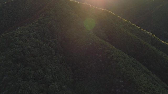 Beautiful aerial sunset shot rising up and panning to view a dazzling sunset. Starts pointed down towards the forest, with lush green trees and lens flare.