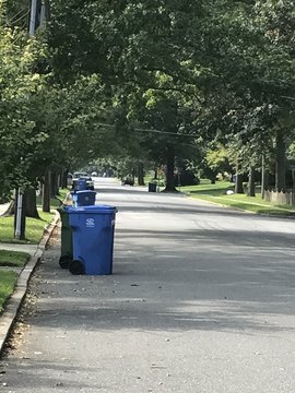  Trash and recycling cans in the street 