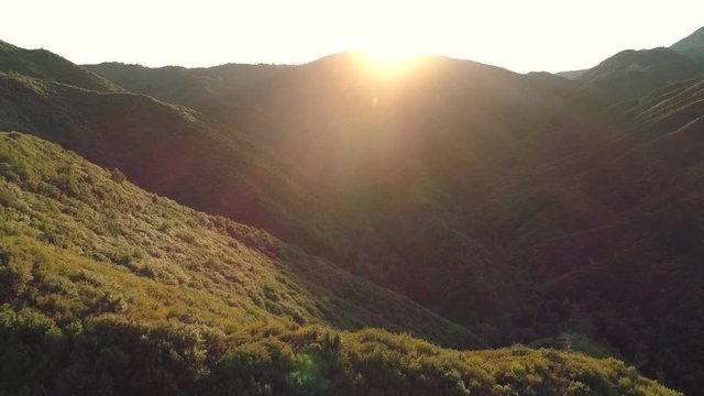 Beautiful aerial sunset shot flying backwards over forested hills. Lush green trees and dazzling sunset. Lens flare.