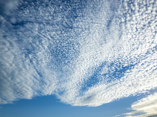 初秋の空と鱗雲