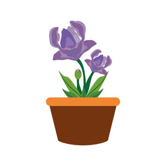 colorful flower plant over white  background vector illustration