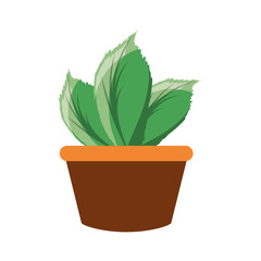 colorful plant over white  background vector illustration