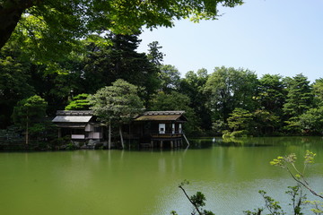 Fototapeta na wymiar 苔　光　庭　日本庭園 池　京都　金沢