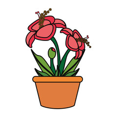 beautiful flowers in a pot icon over white background colorful design vector illustration