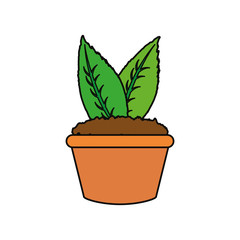 plant in a pot icon over white background vector illustration