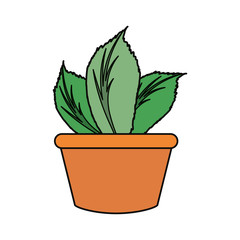 plant in a pot icon over white background vector illustration