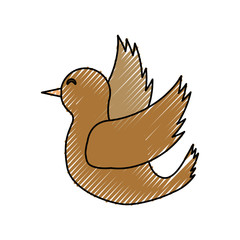 dove icon over white background vector illustration