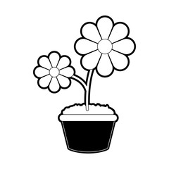 beautiful flowers in a pot icon over white background vector illustration