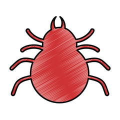 spider silhouette isolated icon vector illustration design