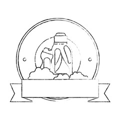 cleaner bottles laundry products emblem vector illustration design