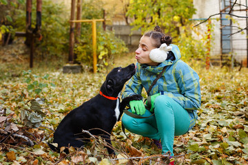 Girl and mongrel dogs