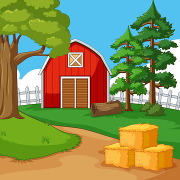 Red barn in the farmyard