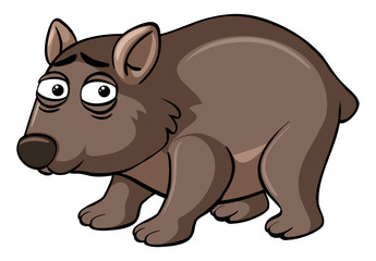 Wombat with unhappy face