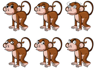 Monkey with different emotions