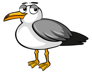 Sad pigeon on white background