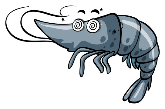 Shrimp with dizzy eyes