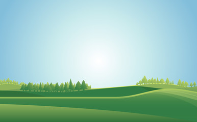 Summer meadow landscape  background. Vector illustration.