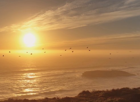Birds Flying in Front of Beautiful Sunset