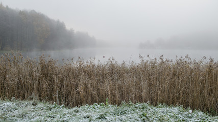 Pierwszy śnieg nad jeziorem Przywidz © joannak24