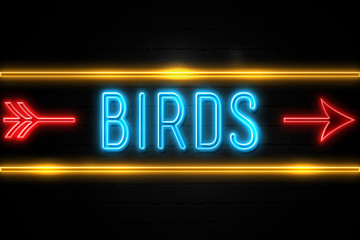 Birds  - fluorescent Neon Sign on brickwall Front view