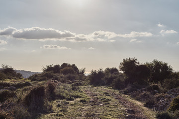 Mountain view at sunset time, Israel, Samaria.