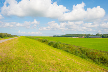 Obraz premium Dike through the countryside in sunlight in summer