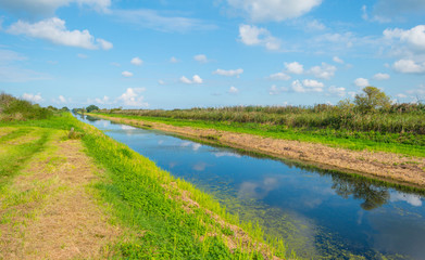 Fototapeta na wymiar Shore of a canal through the countryside in summer
