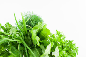 Bundle of green fresh raw dill, parsley, onion, celery and sorrel on white background