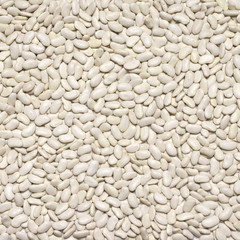 White beans background